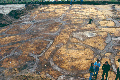 Luchtfoto van grondsporen van grafmonumenten uit de ijzertijd in Ashorst (1992).